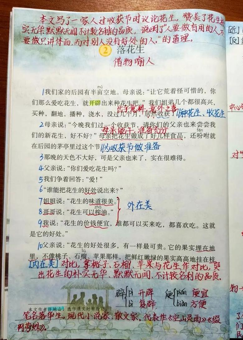 落花生课堂笔记主要内容