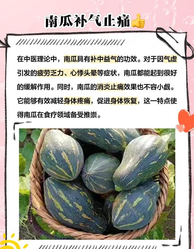 黑籽南瓜：兼具营养与多效，揭秘其喂鸡喂羊的妙用