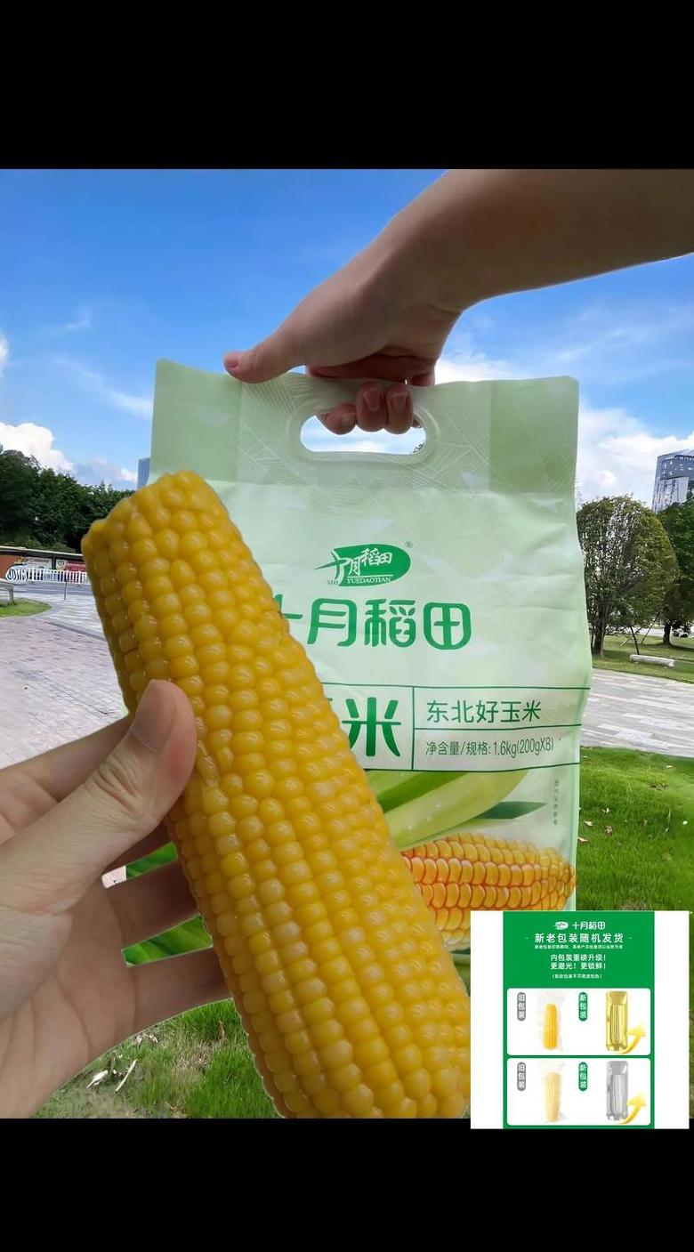 玉米的名字有哪些