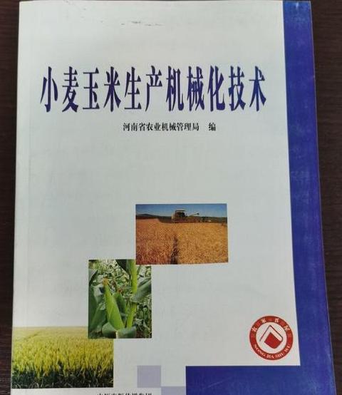 小麦玉米轮作增产技术解析