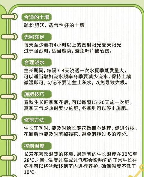 浇水和施肥的正确顺序指南