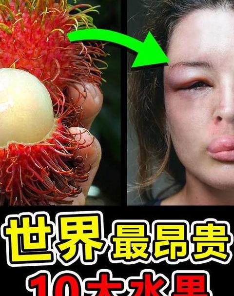 世界十大最贵水果盘点：珍稀美味背后的故事