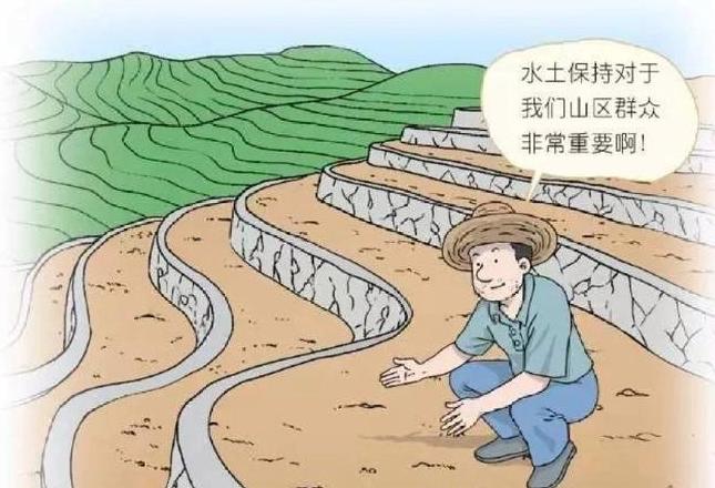 耕作层破坏界定标准及鉴定流程解析