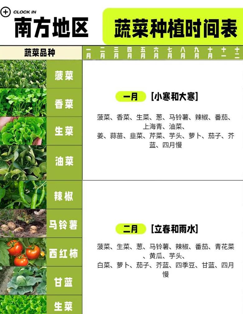 北方地区蔬菜种植最佳时间详解
