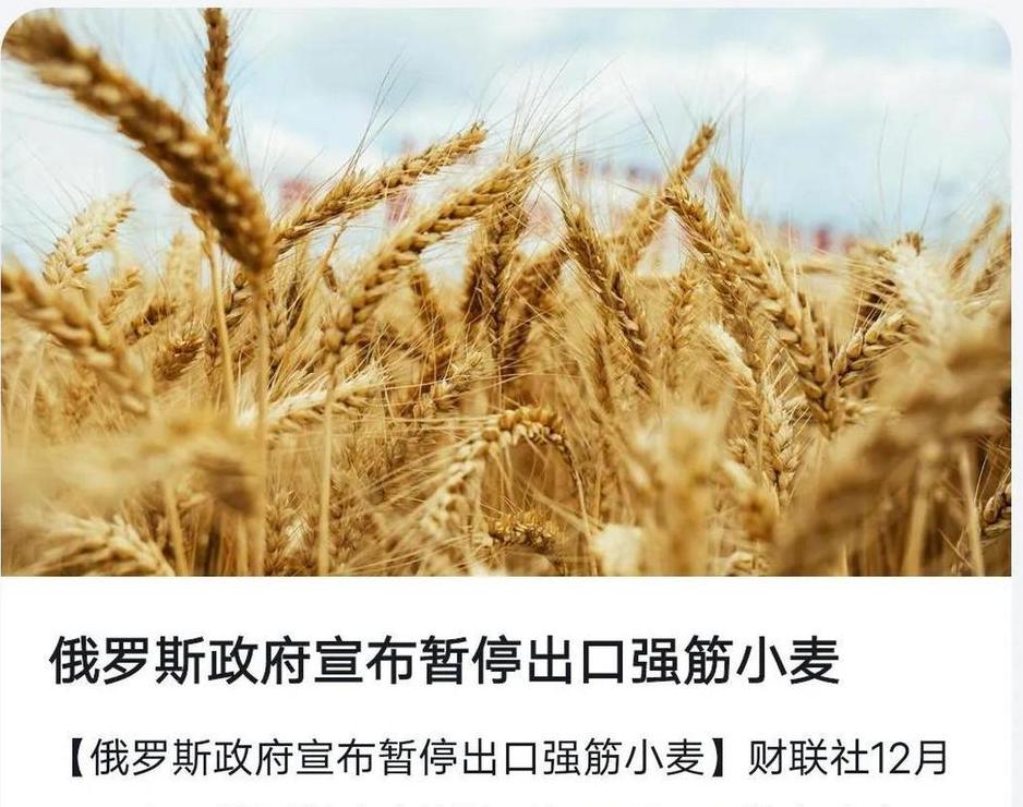 俄罗斯：全球小麦出口霸主及多元化资源出口国解析