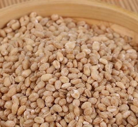 麦仁与麦胚大揭秘：区别及营养对比