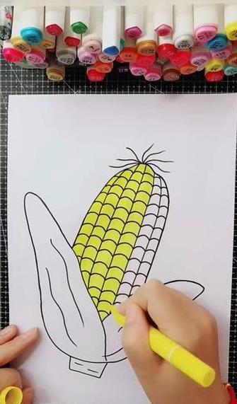 六年级画玉米步骤详解