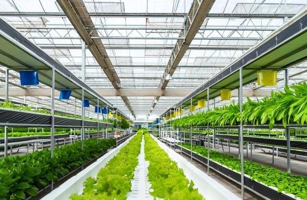 农业种植方式有哪些类型