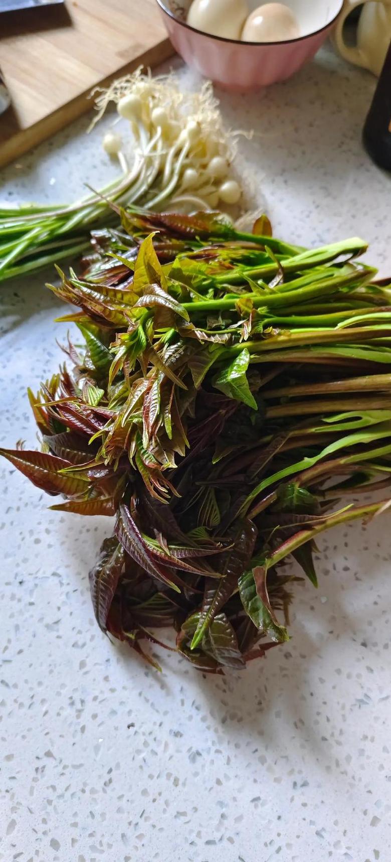 南方春季种植指南：哪些蔬菜最适宜种植？