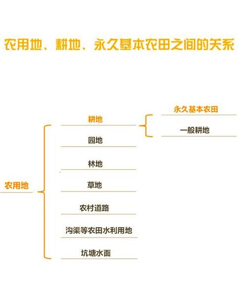 耕作方式与耕作技术详解：传统与现代对比