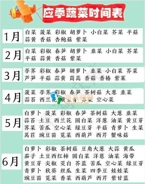 立春时令热菜食谱：营养美味，开胃养生