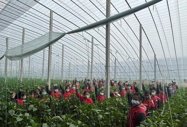 天长市大通镇农业教育基地研学之旅回顾