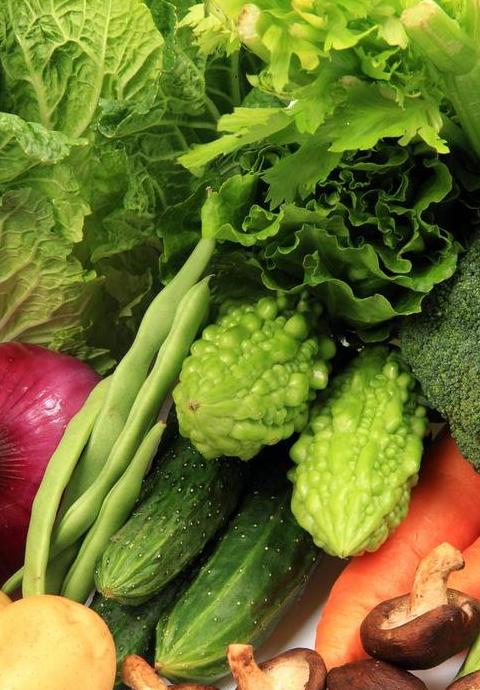 狗狗适宜蔬菜大盘点：安全食用指南与阳台种植推荐