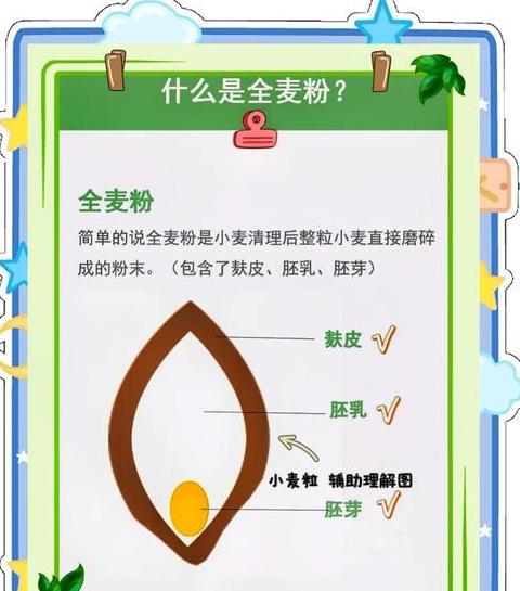 全麦粉与小麦粉：营养与口感大揭秘