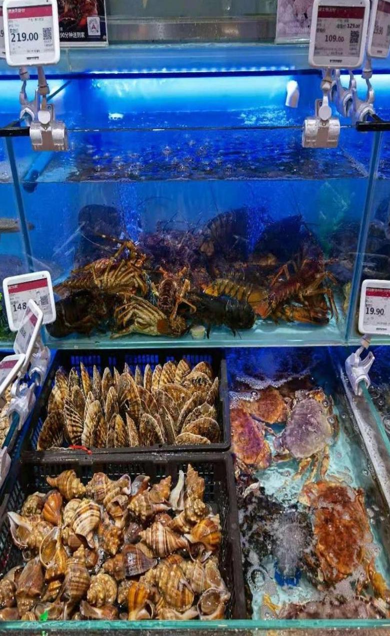水产生意：选对品种，把握市场，获利有方