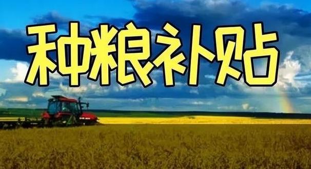 小麦种植补贴政策详解及金额标准